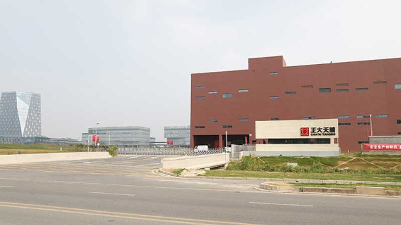 南京正大天晴创新药物生产基地办公楼砼置换处理工程